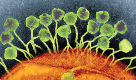 <پزشکی شخصی شده از خیال تا واقعیت < بخش پایانی