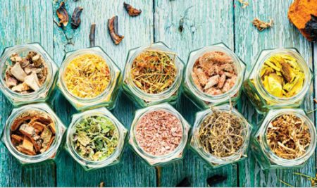 گیاهان دارویی در تابستان